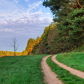 Весна и ландыши | Фотограф Сергей Шабуневич | foto.by фото.бай