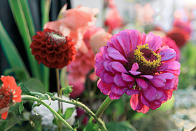 Работа фотографа Сергей Тарасов