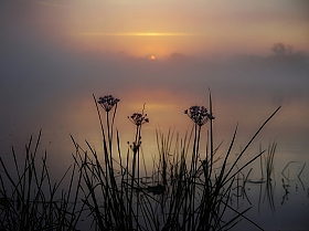 рассвет у реки | Фотограф Сергей Шляга | foto.by фото.бай