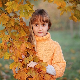 фотограф Надежда Пахомова. Фотография "Золотая осень..."