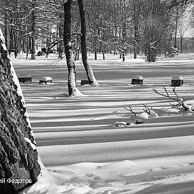 Зима | Фотограф Виталий Федотов | foto.by фото.бай