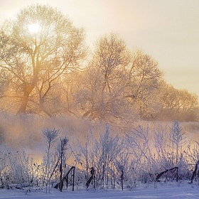 фотограф Евгений Небытов. Фотография "Сквозь иней и туман"
