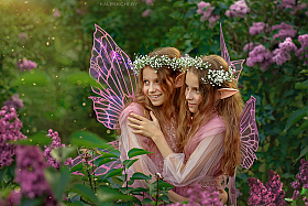 феи | foto.by фото.бай