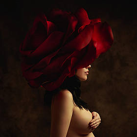 Dark Red Rose | Фотограф Татьяна Трофимова | foto.by фото.бай