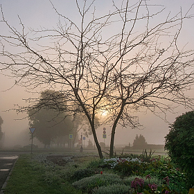 Солнце сквозь туман | Фотограф Александр Шатохин | foto.by фото.бай