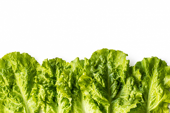 Анастасия Комок - фотограф в городе Могилев, фотография добавлена 19.11.2025