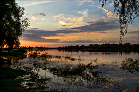 Травы и воды | Фотограф Евгений Ковальчук | foto.by фото.бай
