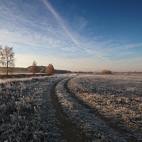 Ближе к зиме | Фотограф Владимир Науменко | foto.by фото.бай