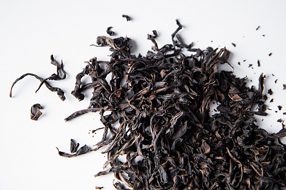 Фотограф Жасмина Германова, фотография добавлена 25.10.2025