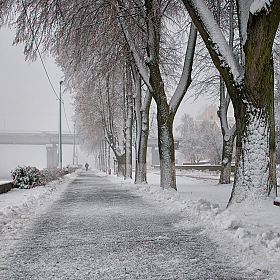 После снегопада | Фотограф Александр Шатохин | foto.by фото.бай