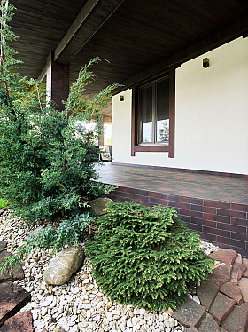 Работа фотографа Александр Тагаев