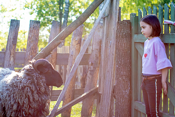 Фотограф Егор Бабий, фотография добавлена 02.03.2021