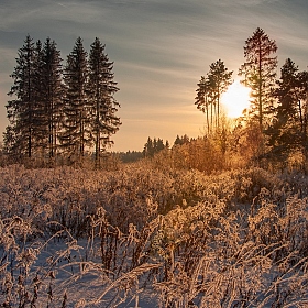 фотограф Александр Тхорев. Фотография "Мороз и Солнце"
