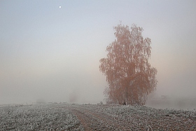 Туманные берега | Фотограф Владимир Науменко | foto.by фото.бай