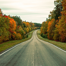 фотограф Alexander Slizh. Фотография "дорога через осень"