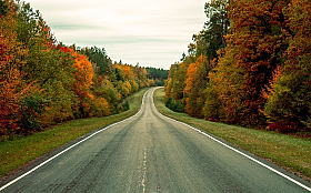 дорога через осень | Фотограф Alexander Slizh | foto.by фото.бай