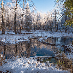 снежное утро | Фотограф Виталий Полуэктов | foto.by фото.бай