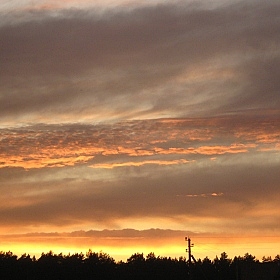 закат | Фотограф Анастасия Ладутько | foto.by фото.бай