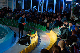 Работа фотографа Сергей Тарасов