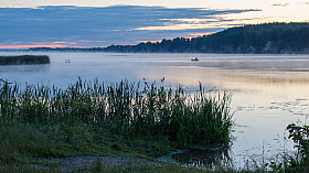 На зорьке | foto.by фото.бай