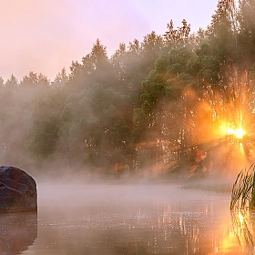 Мгновение утренних лучей | Фотограф Руслан Авдевич | foto.by фото.бай