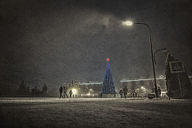 На елке городской | Фотограф Александр Шатохин | foto.by фото.бай