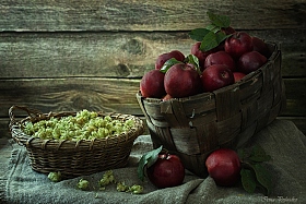 Хмельные яблочки | Фотограф Ирина Приходько | foto.by фото.бай