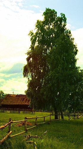 деревенька | Фотограф Александр Puchinsky | foto.by фото.бай