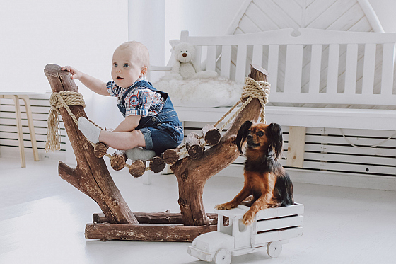 Фотограф Дмитрий Гусалов, фотография добавлена 04.04.2022