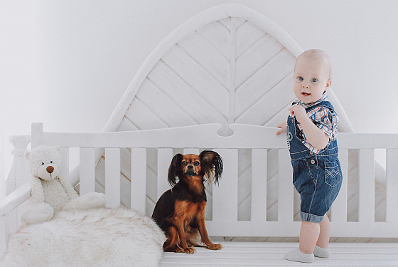 Фотограф Дмитрий Гусалов, фотография добавлена 04.04.2022