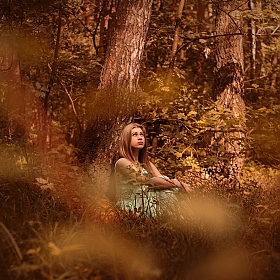 фотограф Ольга Швед. Фотография "на опушке в лесу..."