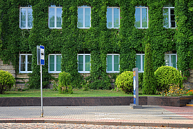 Зеленая стена | Фотограф Александр Кузнецов | foto.by фото.бай
