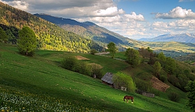 карпатский пейзаж с красным конем:) | Фотограф Ольга Коваленкова | foto.by фото.бай