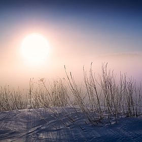 Про морозный туман | Фотограф Сергей Шабуневич | foto.by фото.бай