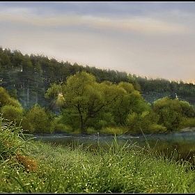 Пробуждение леса | Фотограф Сергей Шабуневич | foto.by фото.бай