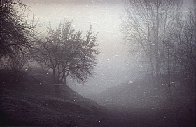 В тумане | Фотограф Юрий Купреев | foto.by фото.бай