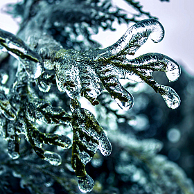 Альбом "Зима" | Фотограф Михаил Цаплев | foto.by фото.бай