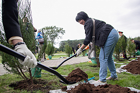 Работа фотографа Сергей Тарасов