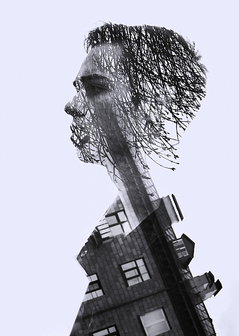 Анастасия Моисеенко - фотограф, фотография добавлена 29.11.2019