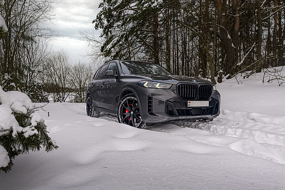 Фотограф Дмитрий Цыганков, фотография добавлена 20.02.2026