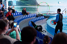 Работа фотографа Сергей Тарасов