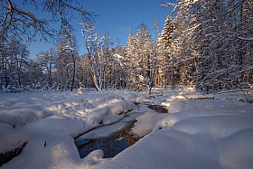 в зимнем лесу | Фотограф Виталий Полуэктов | foto.by фото.бай