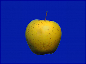 Apple | Фотограф Pasha Evgrashin | foto.by фото.бай
