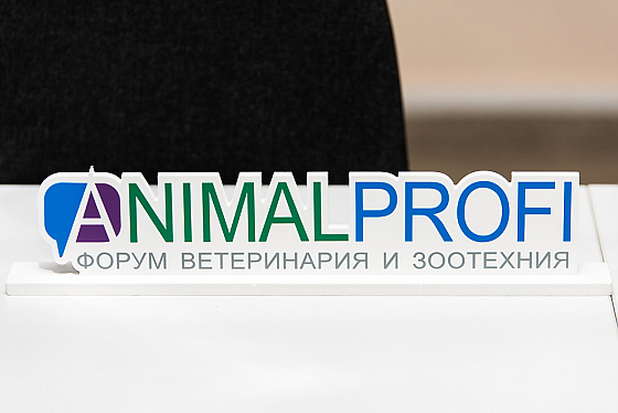 Фотограф Алексей Романовский, фотография добавлена 23.02.2019