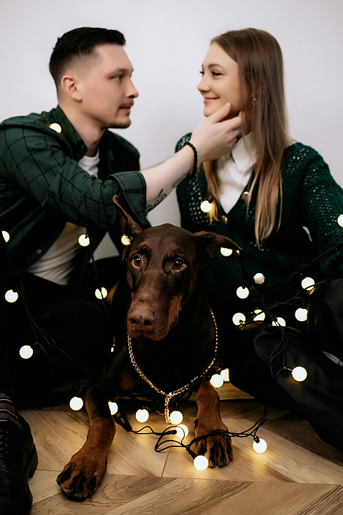 Фотограф Дмитрий Гусалов, фотография добавлена 31.12.2025