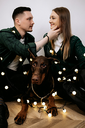 Работа фотографа Дмитрий Гусалов