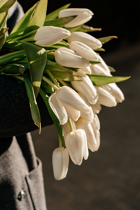 Фотограф Виктория Трегубова, фотография добавлена 11.12.2024