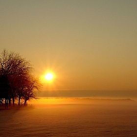фотограф Сергей Тарасюк. Фотография "зимнее утро"