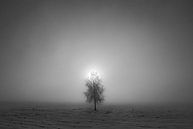 зимнее деревостояние | Фотограф Артём Чиртва | foto.by фото.бай