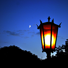 *** | Фотограф Andrei Savitsky | foto.by фото.бай